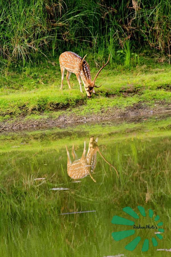 Rainbow Safari Resort Саураха Екстер'єр фото
